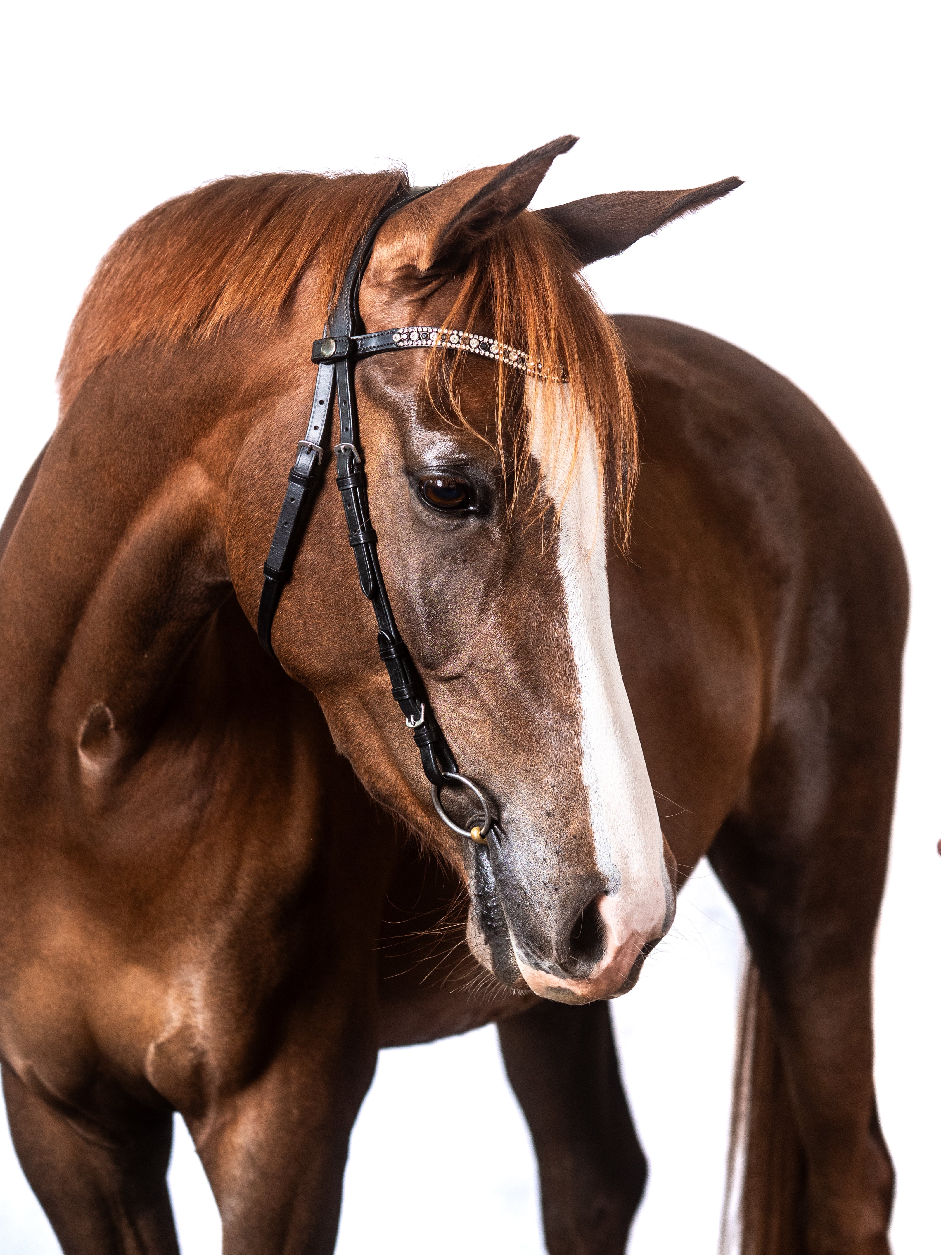 Black Nosebandless Snaffle Bridle 'Natalie'