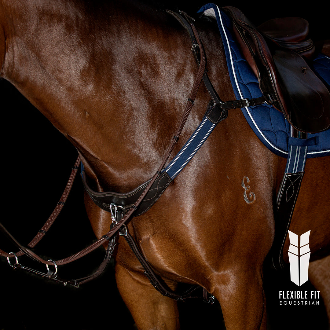 Modified Bridge Breastplate - with Blue and White Elastics