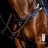 Modified Bridge Breastplate - with Blue and White Elastics