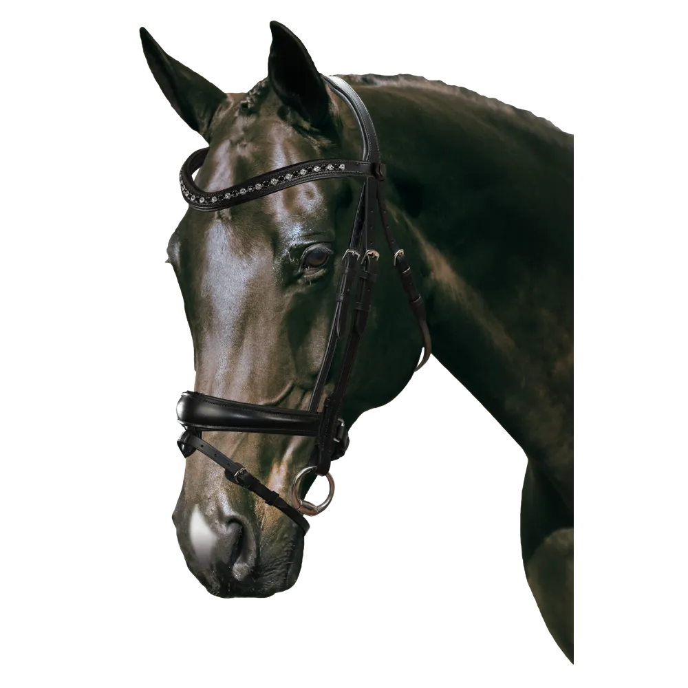 Mix & Match Custom Bridle - Black Snaffle - Customer's Product with price 319.75 ID uWq38NH-ltJzB3SDmC3arHLc