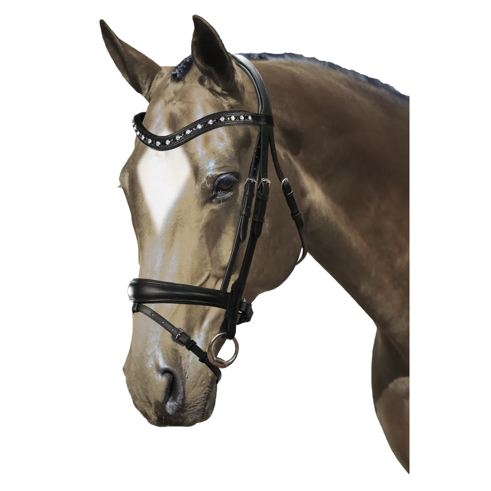 Mix & Match Custom Bridle - Black Snaffle - Customer's Product with price 319.75 ID z8Ec1fiMAcX6FMQCpjO7doxe