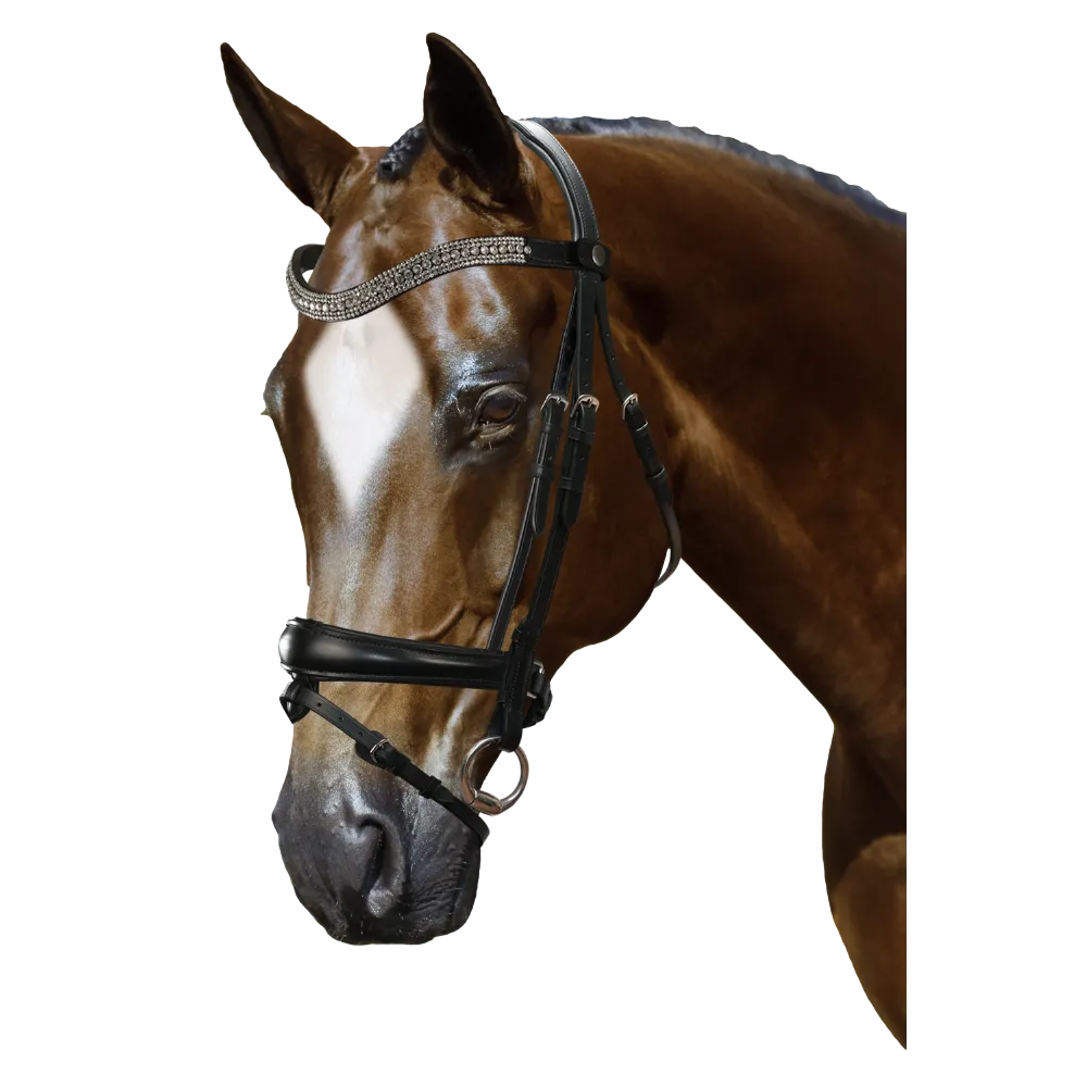 Mix & Match Custom Bridle - Black Snaffle - Customer's Product with price 319.75 ID V-3RcSS-EpDF5yrzWmVuOvYD