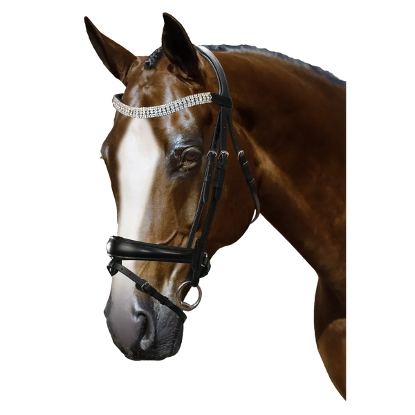 Mix & Match Custom Bridle - Black Snaffle - Customer's Product with price 319.75 ID _-hUvSt7dHlQQtXFZEZRLouz