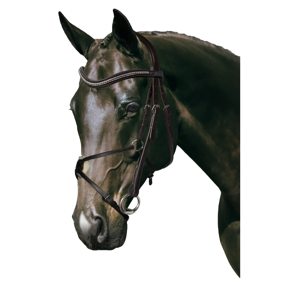 Mix & Match Custom Bridle - Havana Snaffle Bridle - Customer's Product with price 309.75 ID 9aXBklZFVL8Z0AWUeT1n5mGS