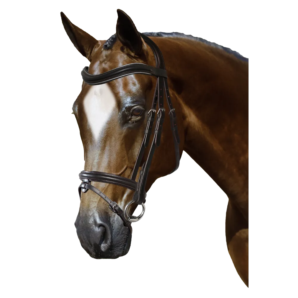 Mix & Match Custom Bridle - Havana Snaffle Bridle - Customer's Product with price 279.75 ID K4mhoa0TrzK7VpOsNRW3OIDs