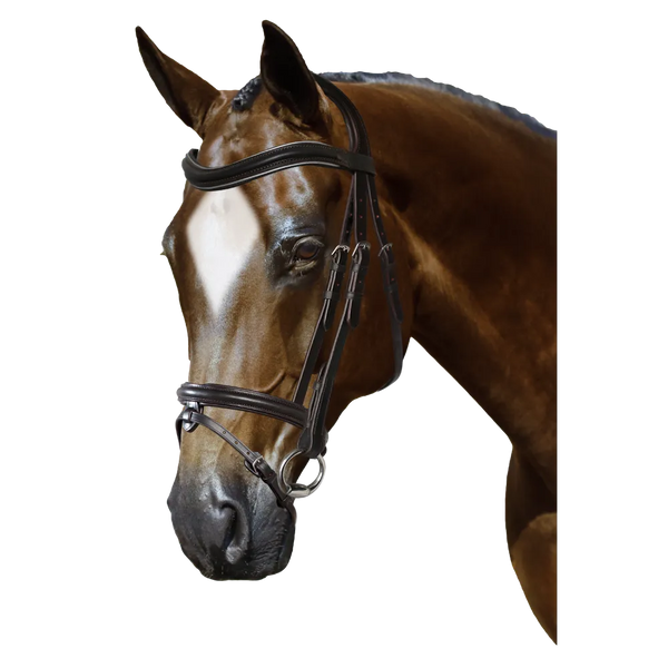 Mix & Match Custom Bridle - Havana Snaffle Bridle - Customer's Product with price 279.75 ID K4mhoa0TrzK7VpOsNRW3OIDs