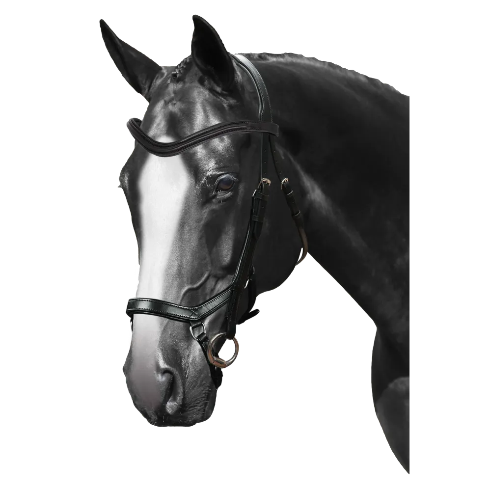 Mix & Match Custom Bridle - Black Ergonomic Bridle - Customer's Product with price 284.75 ID B9vaJChKofyi9QIGc50s0Ib_