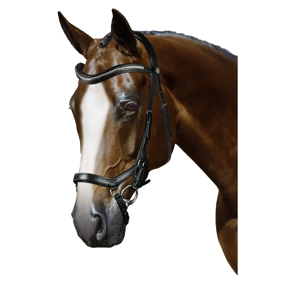 Mix & Match Custom Bridle - Black Ergonomic Bridle - Customer's Product with price 284.80 ID ewvLqOkjeLxh51f0GeZfNtVF