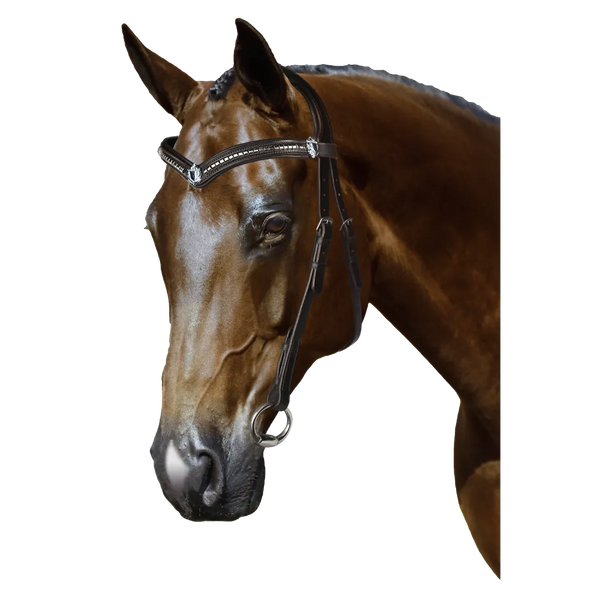 Mix & Match Custom Bridle - Havana Ergonomic Bridle - Customer's Product with price 224.80 ID 7lQnoi21YDpTNcRttABXQ9YS