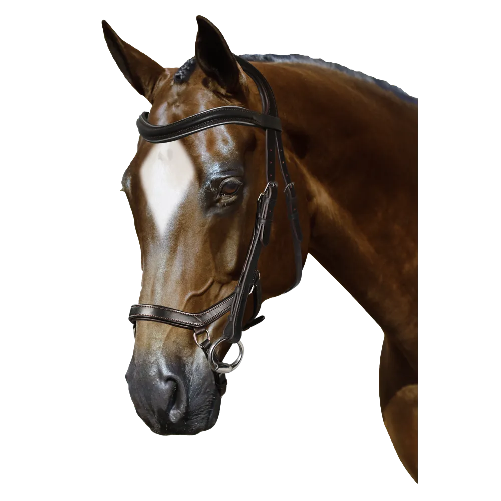 Mix & Match Custom Bridle - Havana Ergonomic Bridle - Customer's Product with price 284.75 ID tF3gcdekHUnqa3NxCPc5hJoG