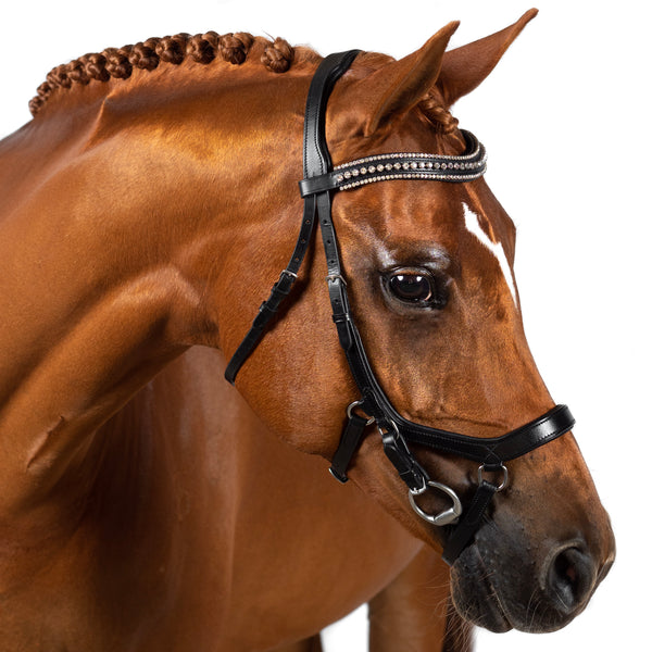 Ergonomic Duo Noseband - Black Noseband