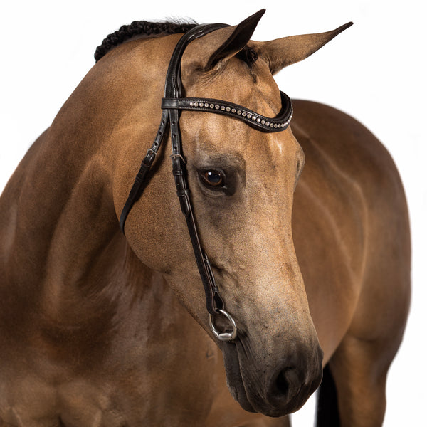 Havana Nosebandless Snaffle Bridle 'Ivy'