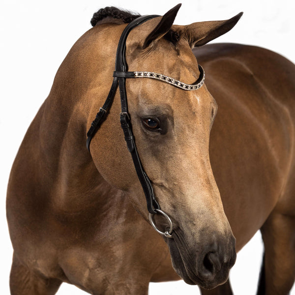 Black nosebandless bridle with black and clear crystal wave browband
