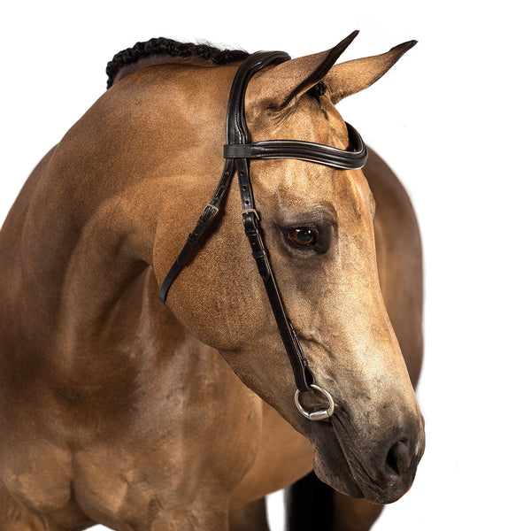 Mix & Match Custom Bridle - Havana Nosebandless Bridle