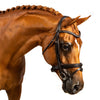 Grey Crystal and Mini Clincher Wave Gel Browband - Havana
