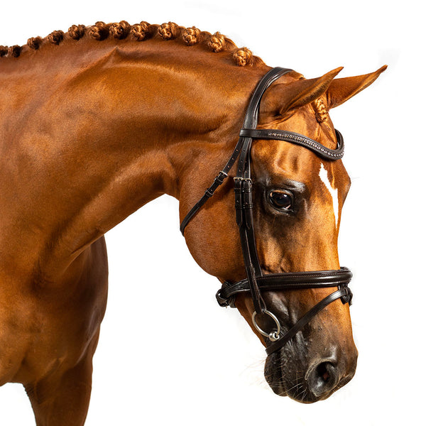 Mini Clincher Havana Snaffle Bridle with Reins