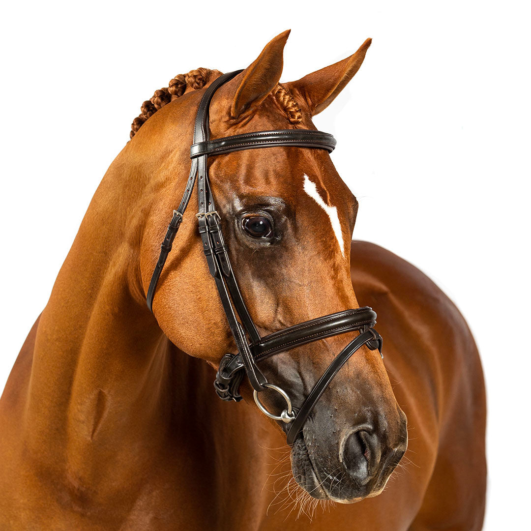 Raised Plain Straight Gel Browband - Havana