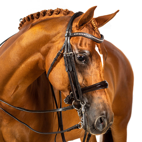 Mix & Match Custom Bridle - Havana Double Bridle