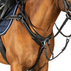 Black leather 5 point breastplate with silver elastic