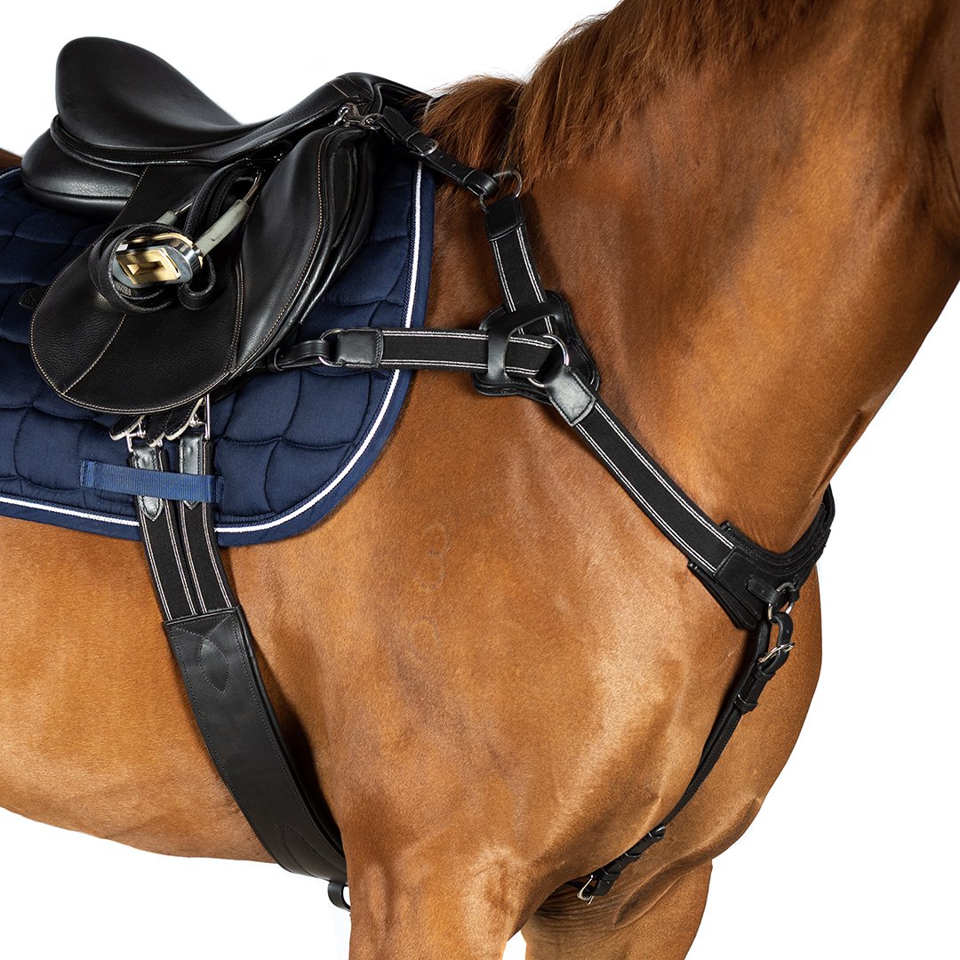 Horse wearing 5 point elastic breastplate for stability