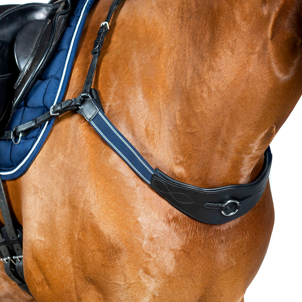 Horse wearing leather 3-point breastplate with gel padding