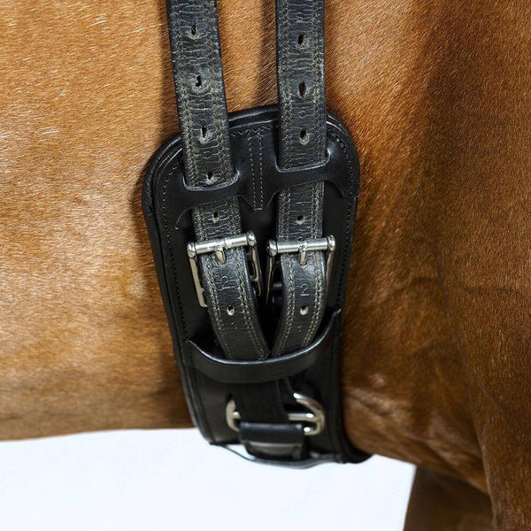 ANATOMICAL INBUILT ELASTIC DRESSAGE GIRTH - BLACK - Flexible Fit Equestrian LLC