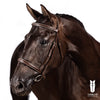 Fancy Stitch Hunter Bridle With Reins