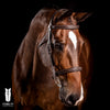 Fancy Stitch Hunter Bridle With Reins