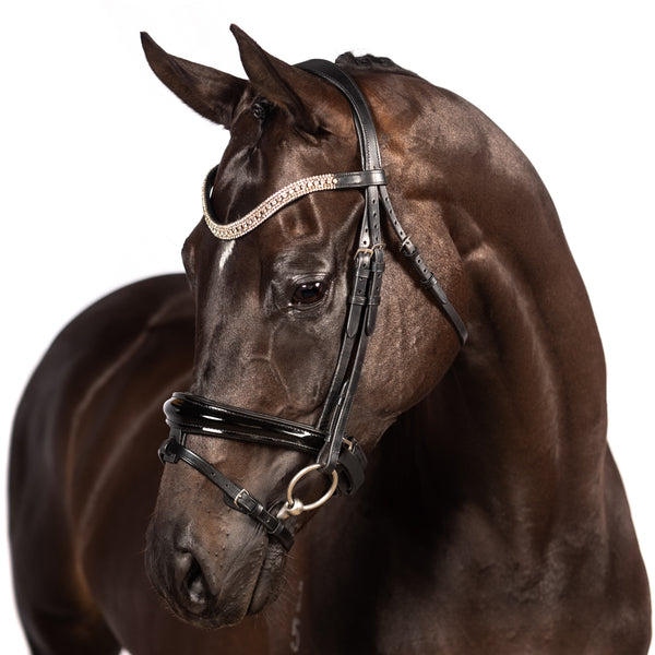 Luxury black bridle with billet or buckle cheekpieces and clear crystal browband