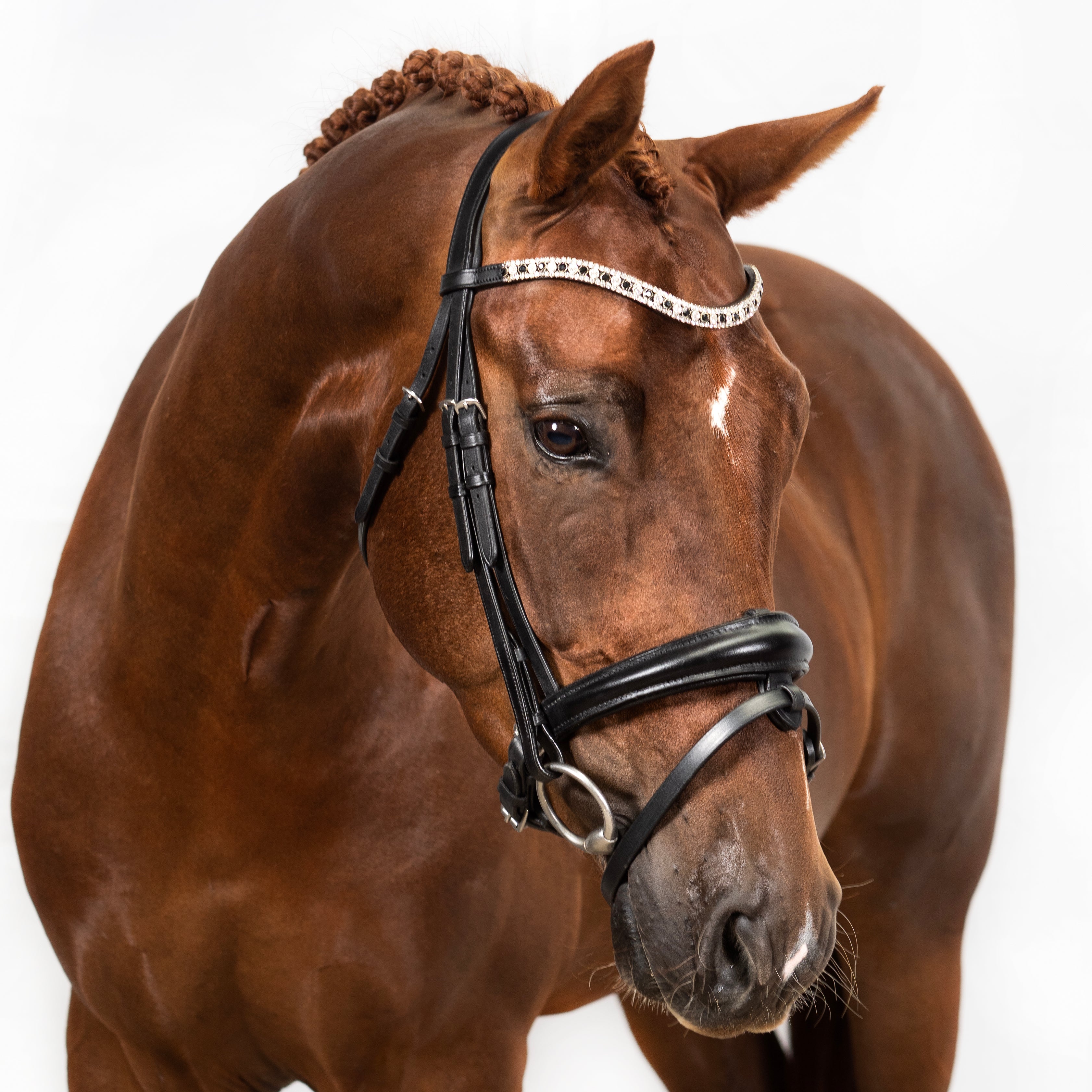 Black Snaffle Bridle 'Aria'