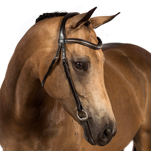 Havana Nosebandless Snaffle Bridle 'Charlize'