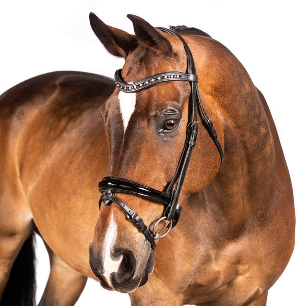 Black Snaffle Bridle 'Lucie'