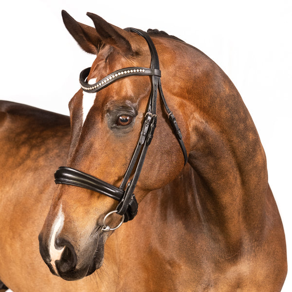 Black Snaffle Bridle 'Elanor'