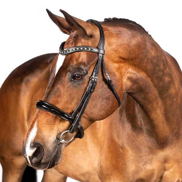 Black Snaffle Bridle 'Lucie'