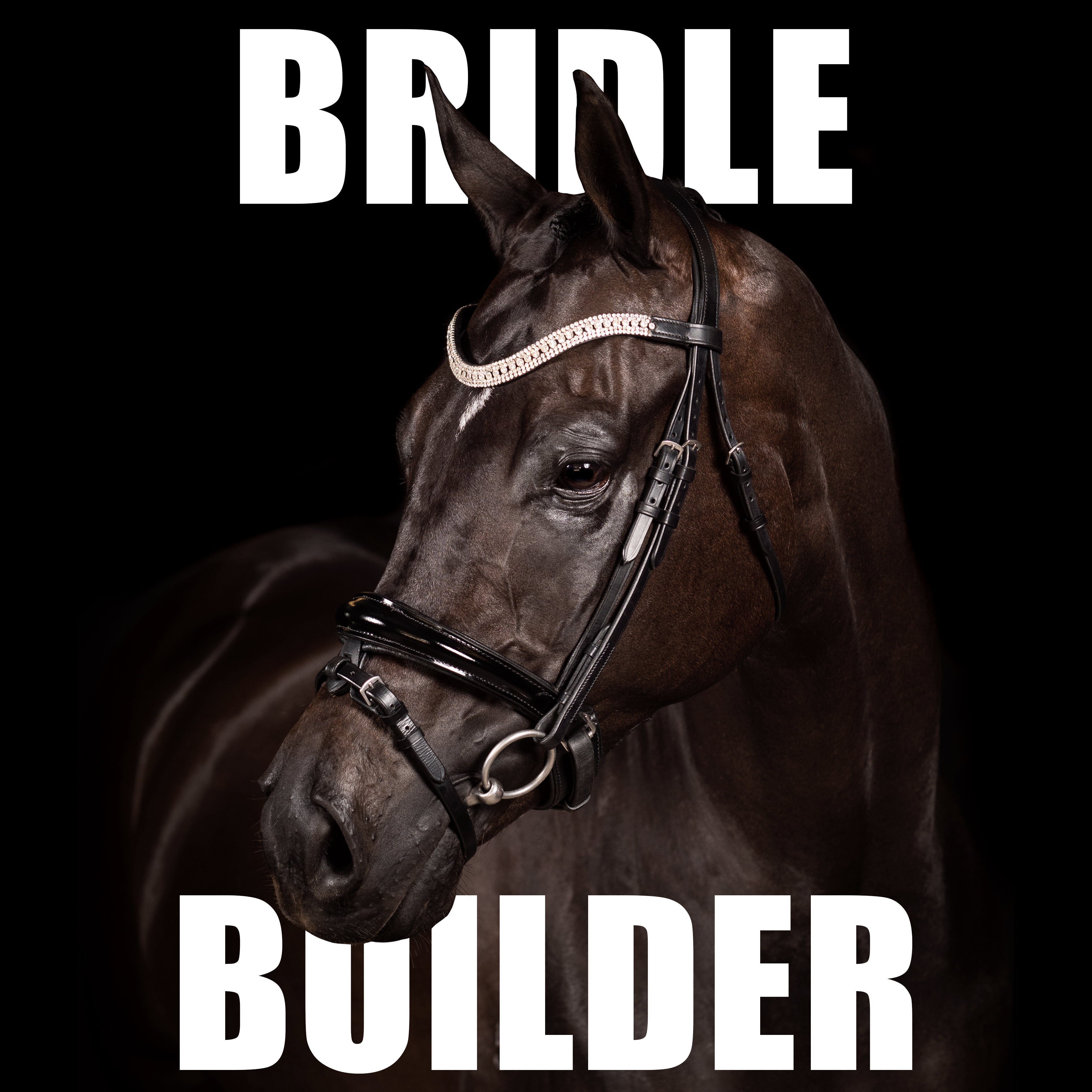 Custom Black Snaffle Bridle
