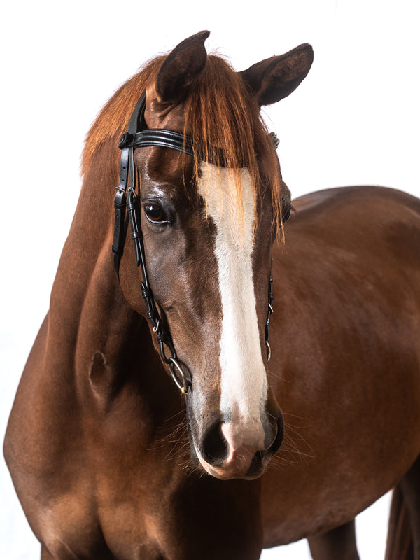 Black Nosebandless Snaffle Bridle 'Quinn'