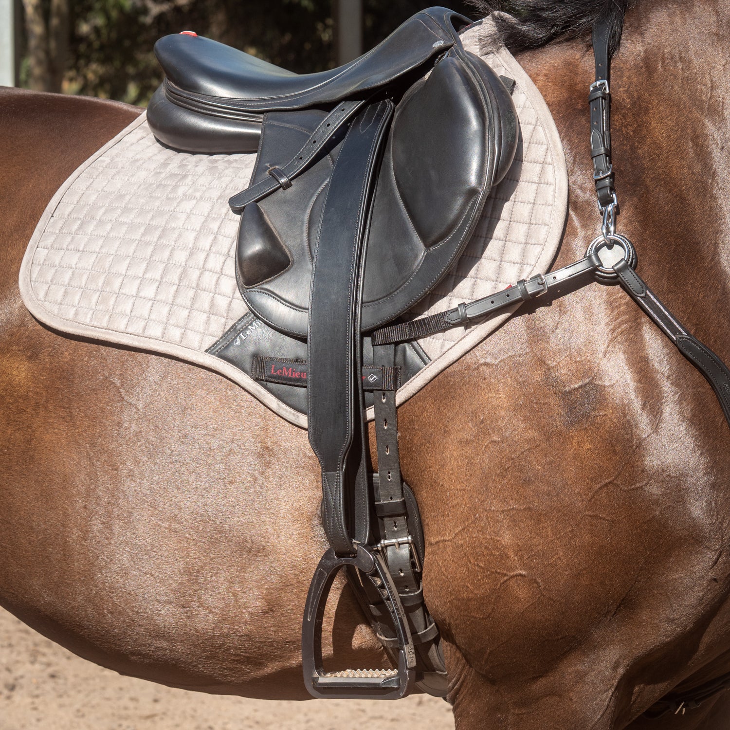 Secure-Leg Stirrup Leathers