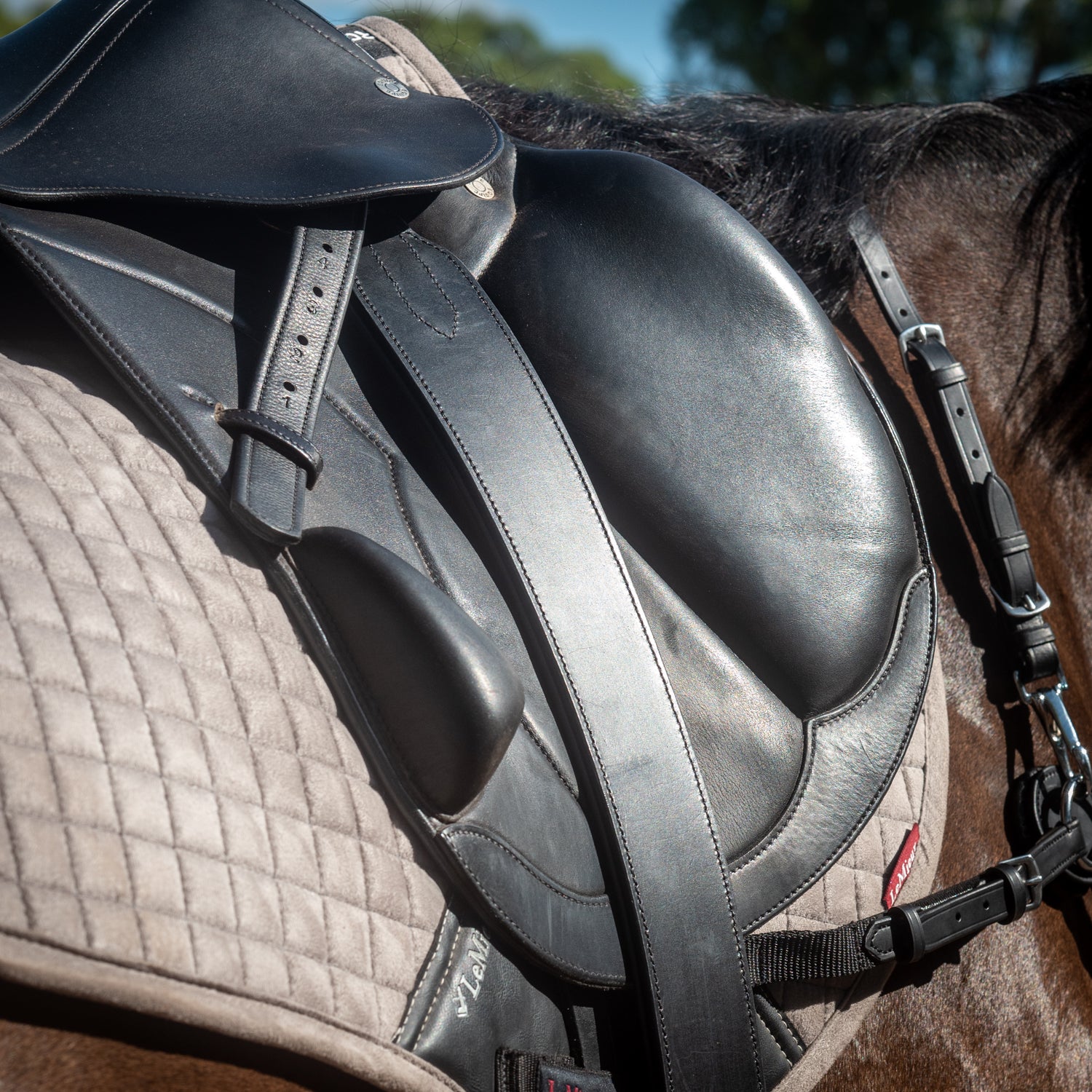 Secure-Leg Stirrup Leathers