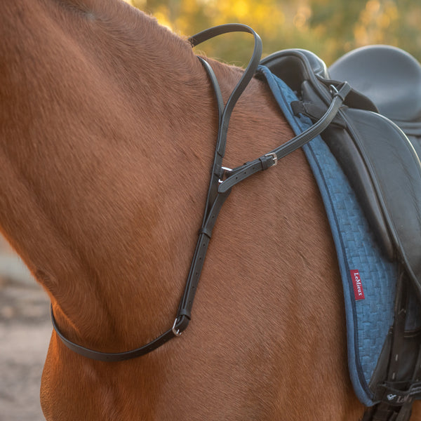 Quiet Hands Safety Strap
