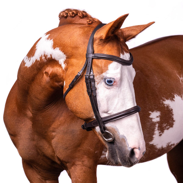 Havana Snaffle Bridle 'Sage'