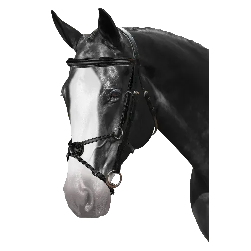 Mix & Match Custom Bridle - Black Snaffle - Customer's Product with price 279.75 ID pVRE9RDjJ2y1wSYHQXQUU9HV