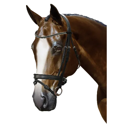 Mix & Match Custom Bridle - Black Snaffle - Customer's Product with price 249.80 ID JlAARAcNUCx75lmlOgaTB88P