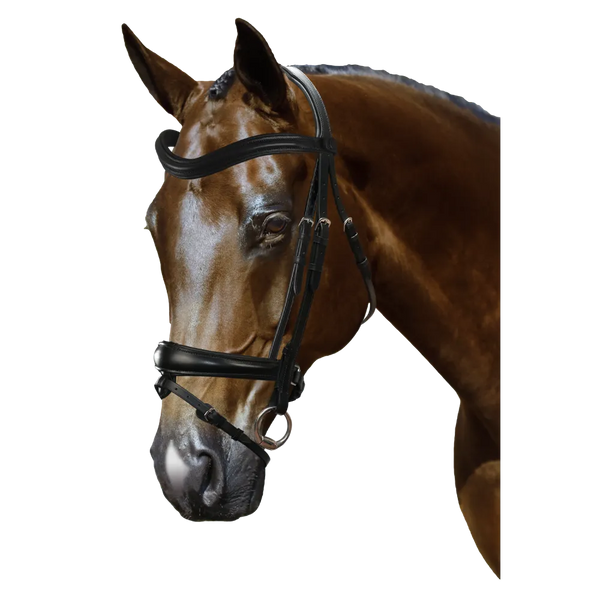 Mix & Match Custom Bridle - Black Snaffle - Customer's Product with price 279.75 ID 6-O-SuF9gxYOrA4Bm8duak0B