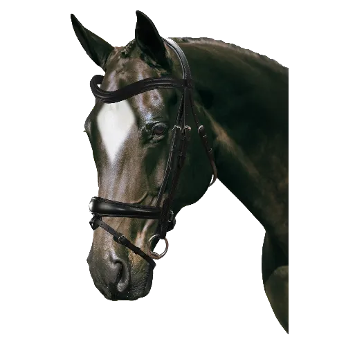 Mix & Match Custom Bridle - Black Snaffle - Customer's Product with price 279.75 ID JvRZkNFzqSQ-rhsruXJZMhot