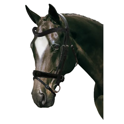 Mix & Match Custom Bridle - Black Snaffle - Customer's Product with price 279.75 ID ts28k-f9zYtwbhMss36wZ1GM