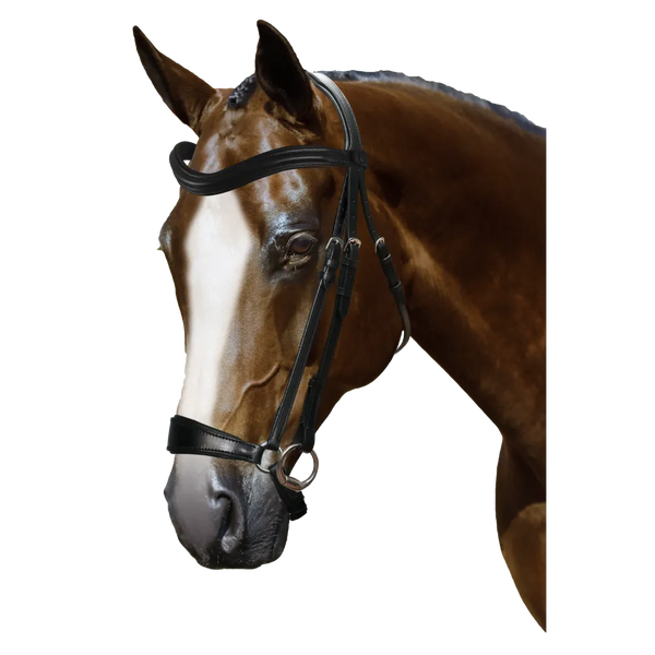 Mix & Match Custom Bridle - Black Snaffle - Customer's Product with price 279.75 ID O1br5VqBDrqA77L5h2ELSLsV
