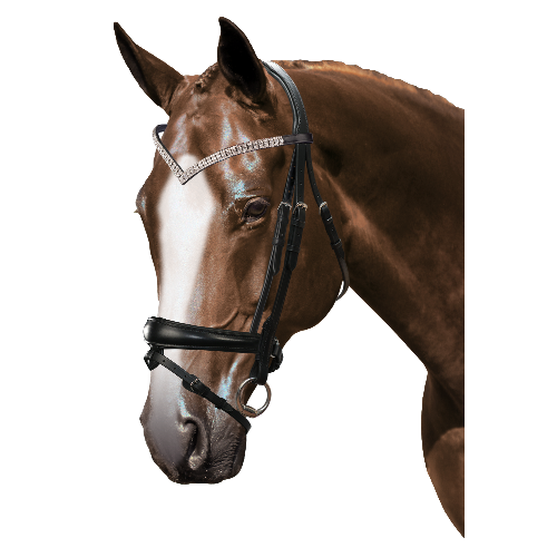 Mix & Match Custom Bridle - Black Snaffle - Customer's Product with price 319.75 ID RR0wFUadgR0rOBg7b_se2WDK