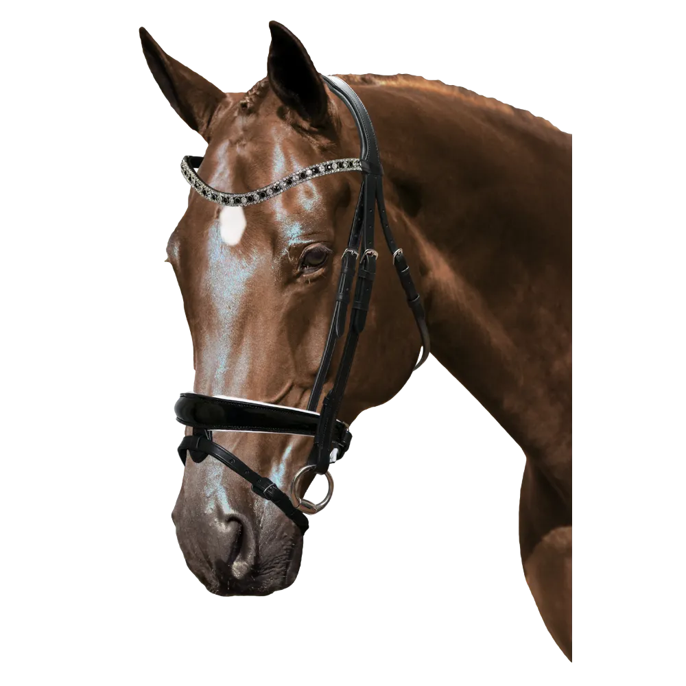 Mix & Match Custom Bridle - Black Snaffle - Customer's Product with price 319.75 ID r5831KSk6e_ihFaOan2CvdY1