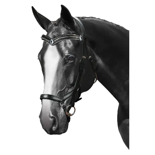 Mix & Match Custom Bridle - Black Snaffle - Customer's Product with price 314.75 ID zMI-8_rYcMCT9ftsPtx7bkGW