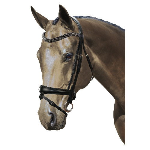 Mix & Match Custom Bridle - Black Snaffle - Customer's Product with price 319.75 ID QR5Q-qUHYTOIzA9zYBxfwN4x